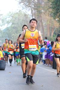 BIB: 16123
                            <button type="button" onclick="openModal(10412050)" class="btn btn-primary btn-sm float-right btn-popup" data-toggle="modal" data-target=".modal-high-quality">
                        <i class="fas fa-shopping-cart"></i> Add to Cart
                    </button>
                                            <button type="button" onclick="isThisMe(10412050, true)" class="btn btn-success btn-sm float-right btn-popup btn-isme hidden" data-toggle="tooltip" data-placement="bottom" title="นี่คือรูปของคุณใช่ไหม คลิกที่นี่เพื่อเอาเข้าอัลบั้ม">
                        <i class="fas fa-plus"></i> Add to album
                    </button>
                    <button type="button" onclick="isThisMe(10412050, false)" class="btn btn-warning btn-sm float-right btn-popup btn-isnotme hidden">
                        <i class="fas fa-ban"></i> Remove from album
                    </button>